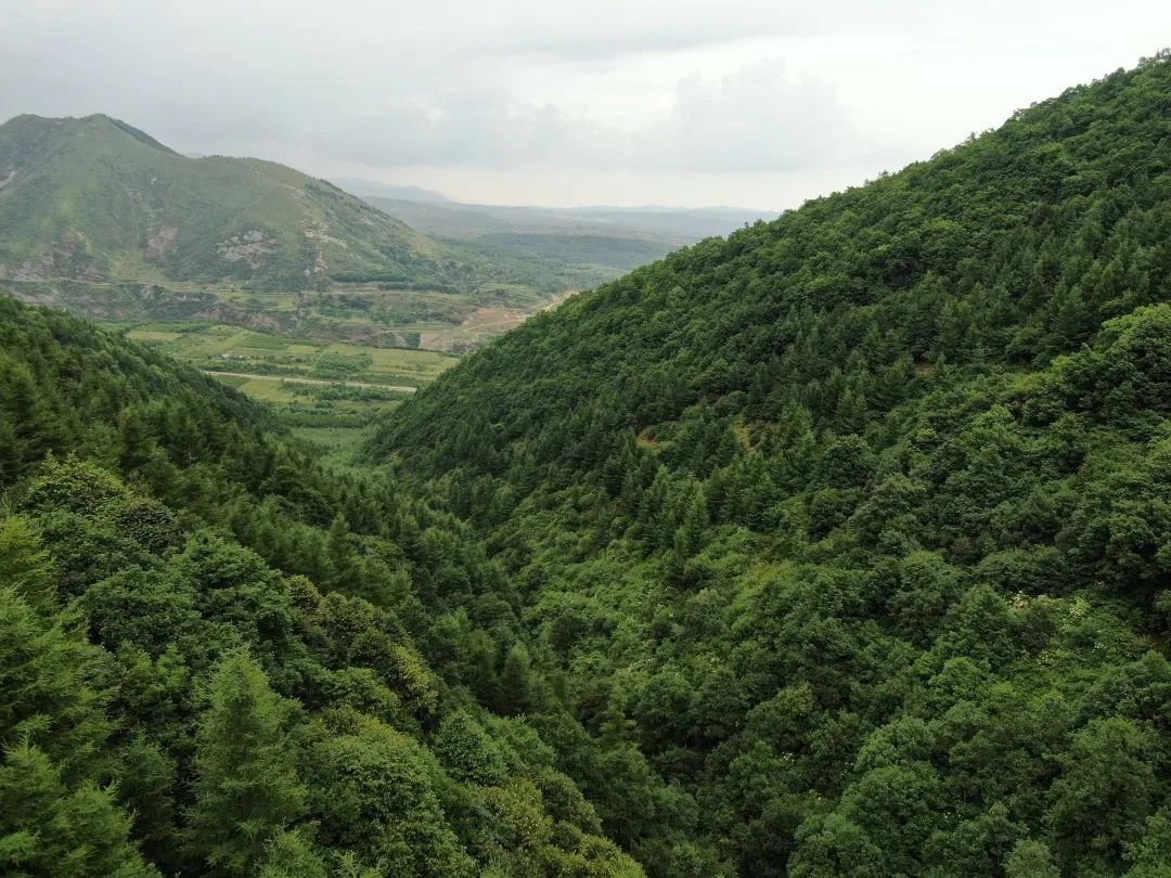 图片1.png 图片1.png