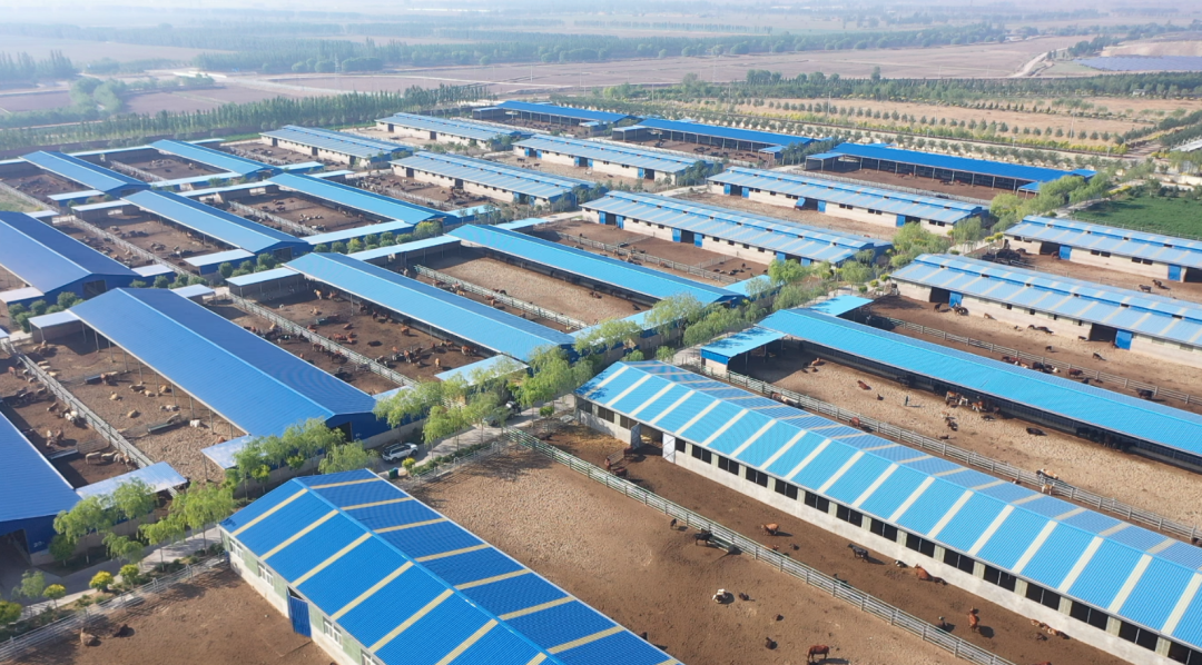 图片10.png 图片10.png