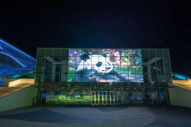 图片 5.png 图片 5.png