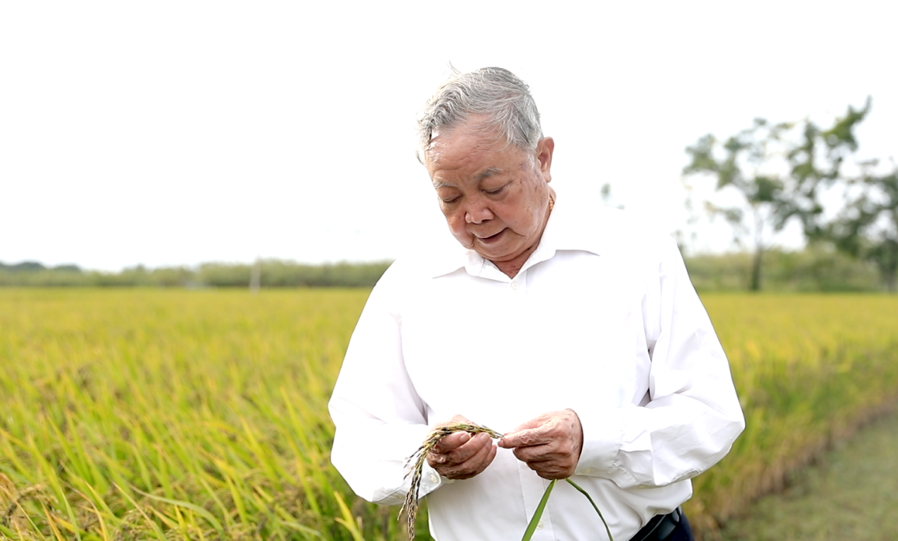 图片 1.png 图片 1.png